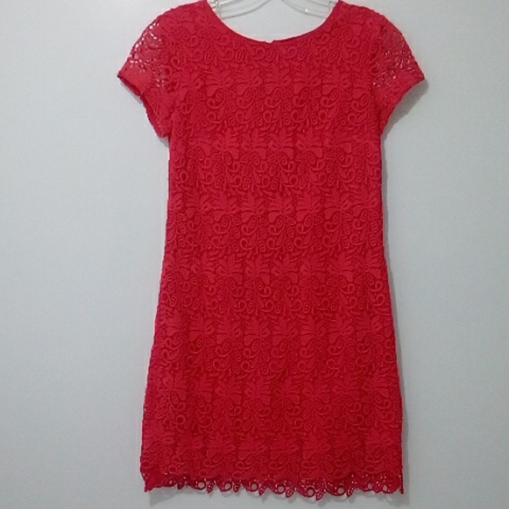 Club Monaco pink crocheted lace dress